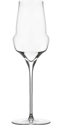 Champagnerglas | Cocoon - Stölzle Lausitz | 340 ml (6 Stk)