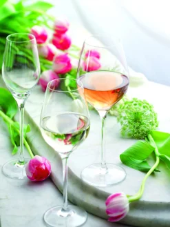 Champagnerglas | Exquisit Royal - Stölzle Lausitz | 265 ml (6 Stk)