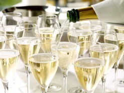 Champagnerglas | Prestige - Stölzle Lausitz | 345 ml (6 Stk)