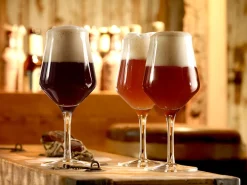 Craft Beer Glas 0,3l | Stölzle Lausitz | 430 ml (6 Stk)