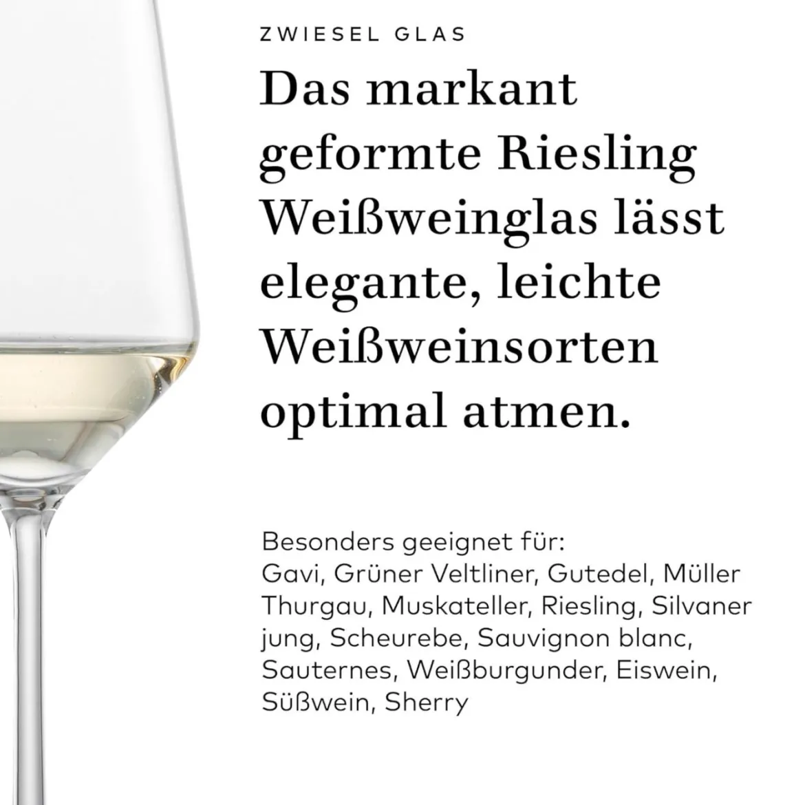 Riesling Weißweinglas | Pure - Schott Zwiesel | 300 ml (6 Stk)