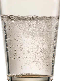 Wassergläser | Sonido - Schott Zwiesel | Taupe - 550 ml (6 Stk)