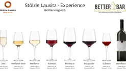 Weißweinglas | Experience - Stölzle Lausitz | 350 ml (6 Stk)