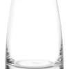 Whiskybecher DOF | Experience - Stölzle Lausitz | 325 ml (6 Stk)